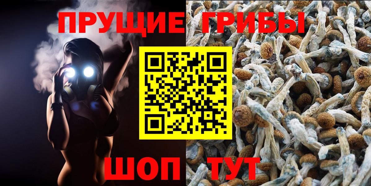 Псилоцибиновые грибы Psilocybine cubensis  Псилоцибиновые грибы Cubensis  Вход с VPN  Мелеуз 